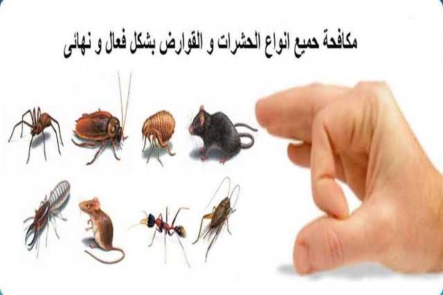 Pest control - مكافحة الحشرات