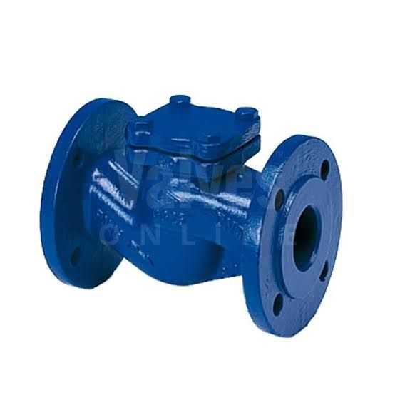 Check Valve