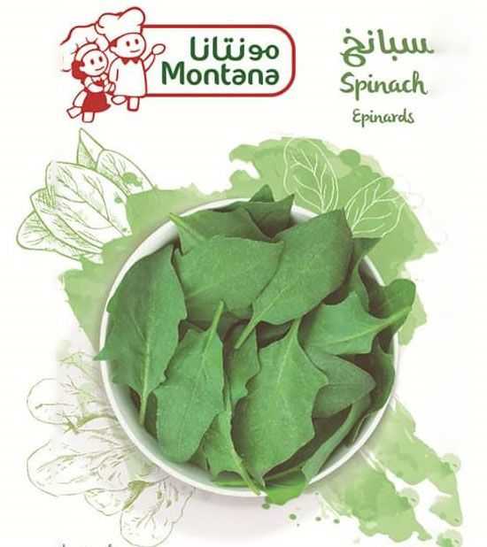 Spinach - سبانخ