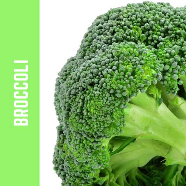 Broccoli - بروكولي