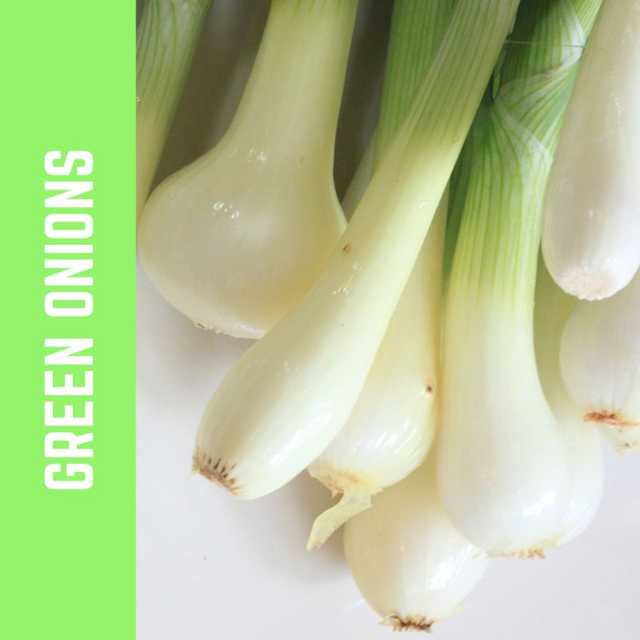 Green onion - بصل اخضر