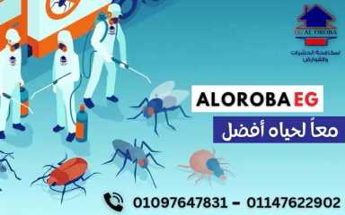 Pest control - مكافحة الحشرات والقوارض