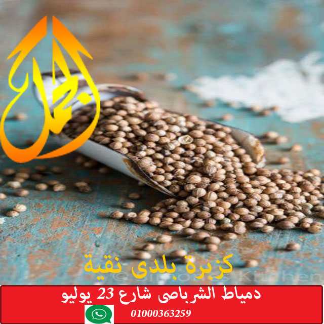 كزبره حب -coriander seeds