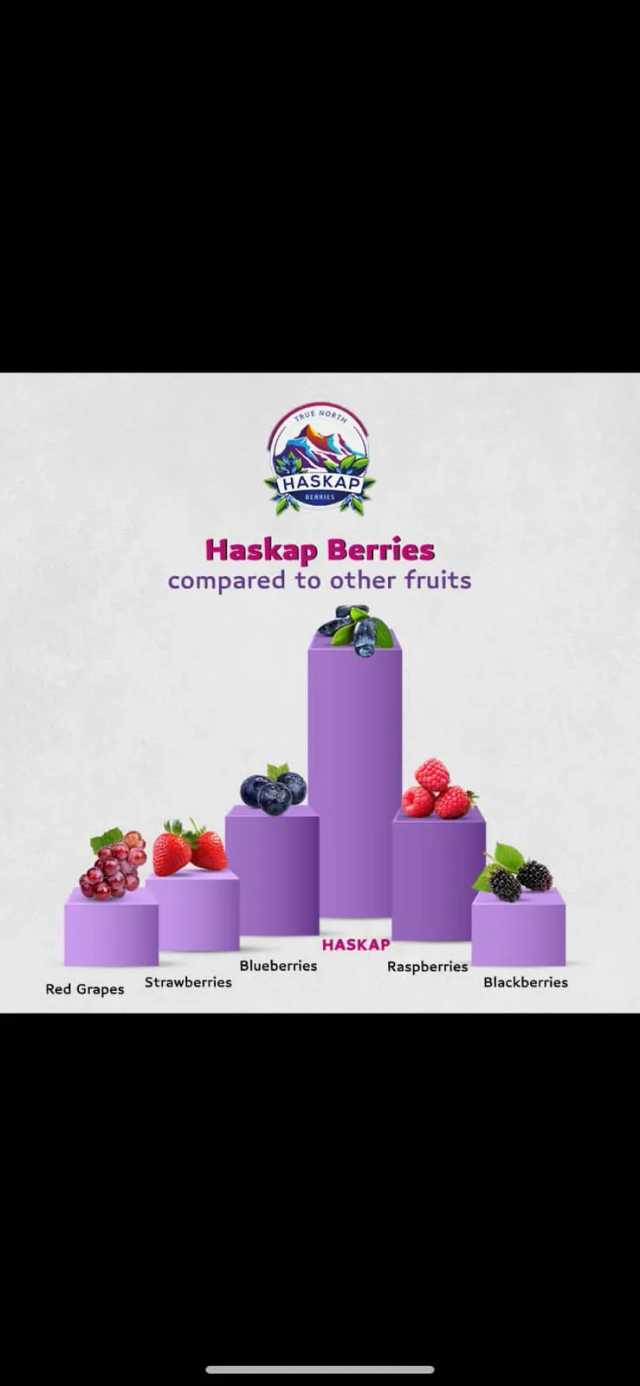 Haskap Berries