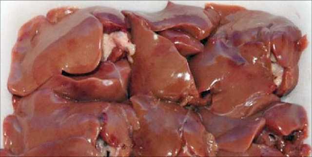 Fresh chicken liver  -كبدة فراخ طازج