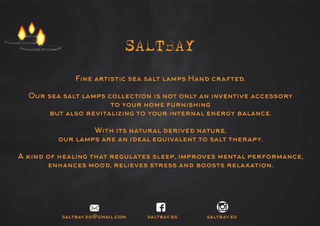SaltBay Brochure