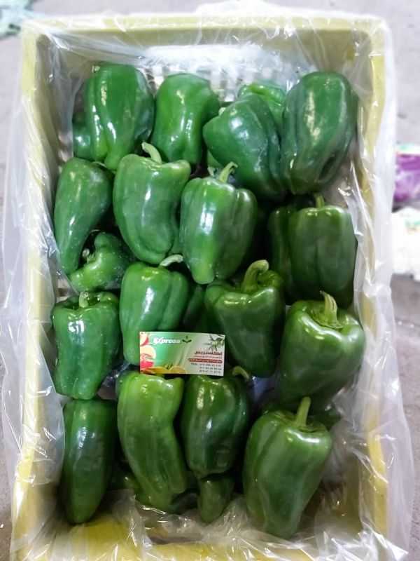 Green Peppers - فلفل أخضر