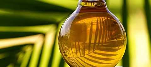 Palm oil - زيت النخيل