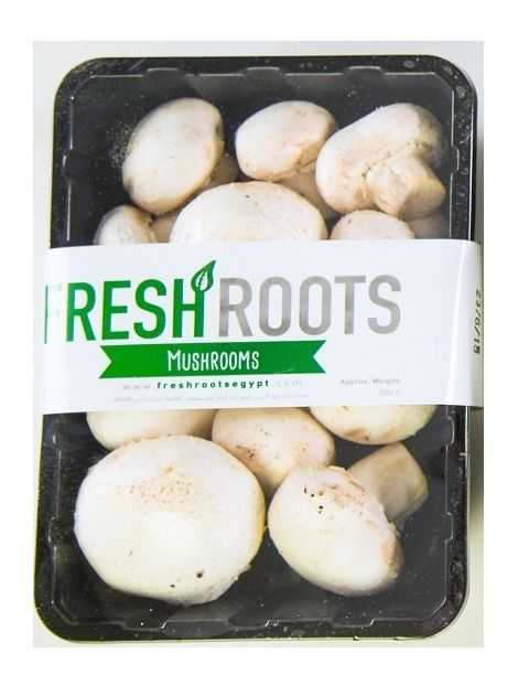 Fresh Mushrooms -مشروم