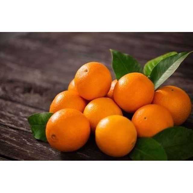 Oranges - برتقال