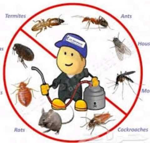 Pest control - مكافحة الحشرات