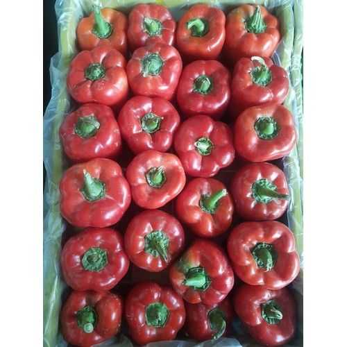 Red Peppers - فلفل أحمر
