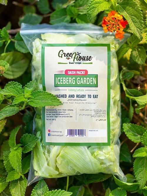 Iceberg Garden Dash Pack