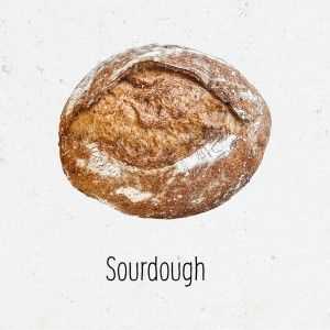 Sour Dough