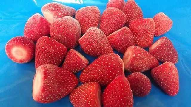 فراوله مجمده Frozen Strawberries