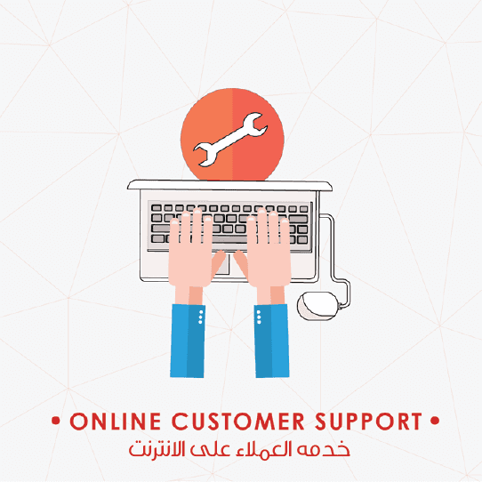 Online customer support