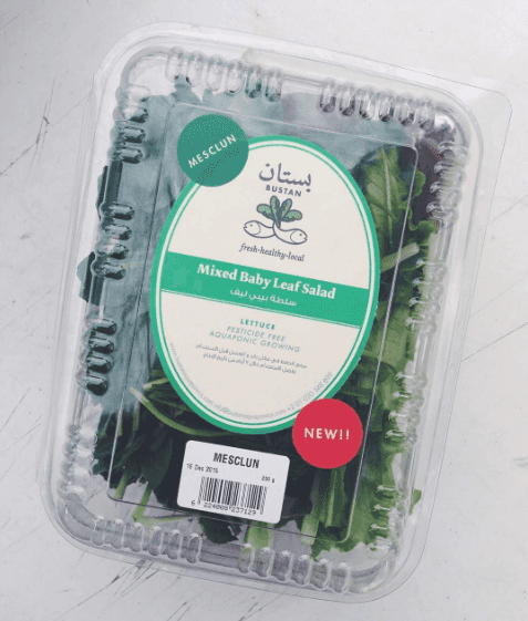 Mixed Baby Leaf Salad - سلطة