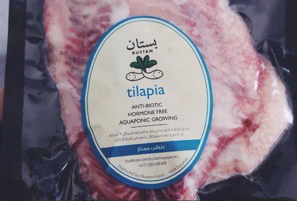 Nile Tilapia - سمك بلطي 