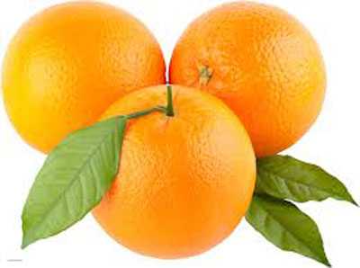Orange - برتقال