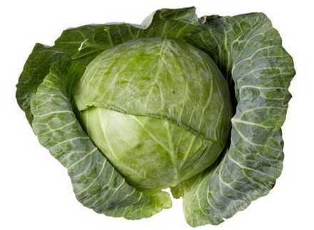 Cabbage - كرنب