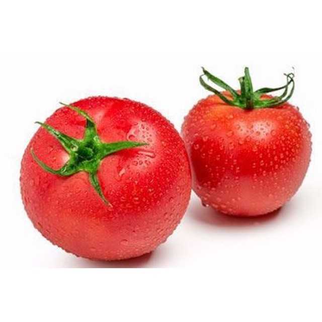 Tomato - طماطم