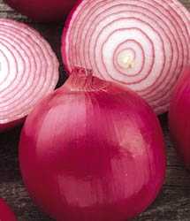 Onion - بصل