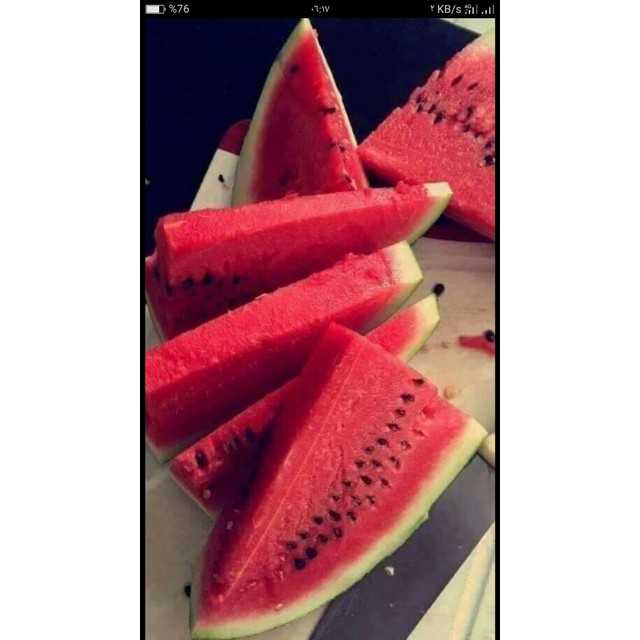 Watermelon - بطيخ