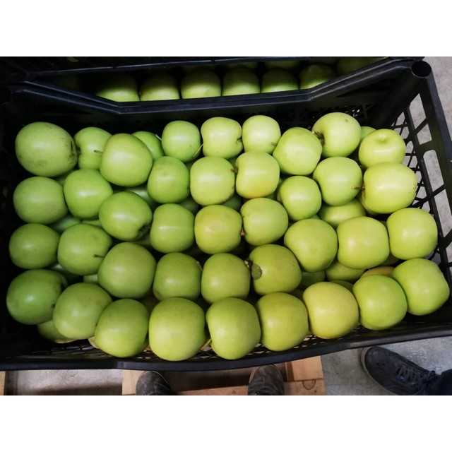 Green Apples - تفاح اخضر
