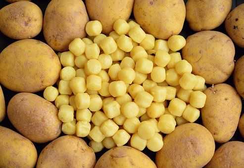 Gnocchi Potato