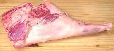 Lamb Meat - لحم ضاني