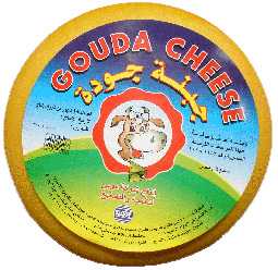 Gouda Cheese - جبنة جوده