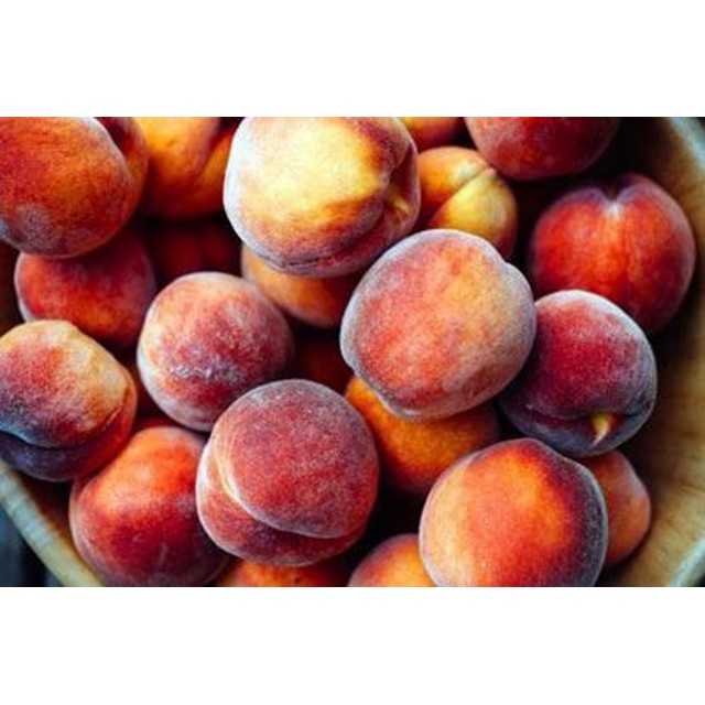 Baladi Peaches - الخوخ المحلي