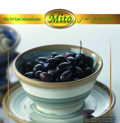 Mito - ميتو للتصنيع الغذائى